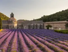 足球比赛经典瞬间-AYX SPORTS